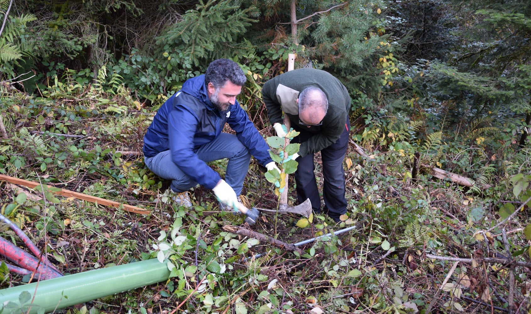 Almighty Tree PTC Tree Planting Day